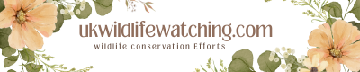 ukwildlifewatching.com