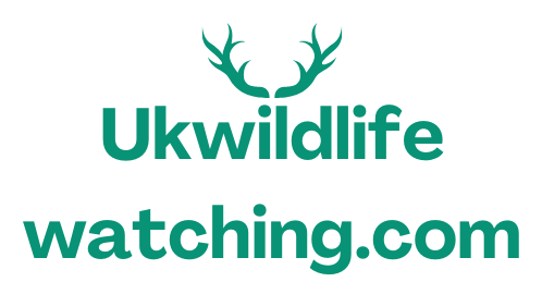 ukwildlifewatching.com